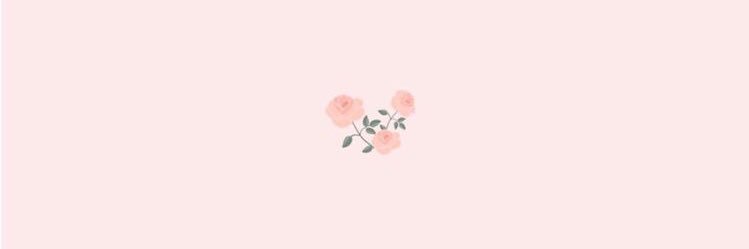 raphirojas's profile banner image