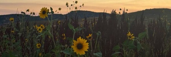 KCollectionsss Profile Banner