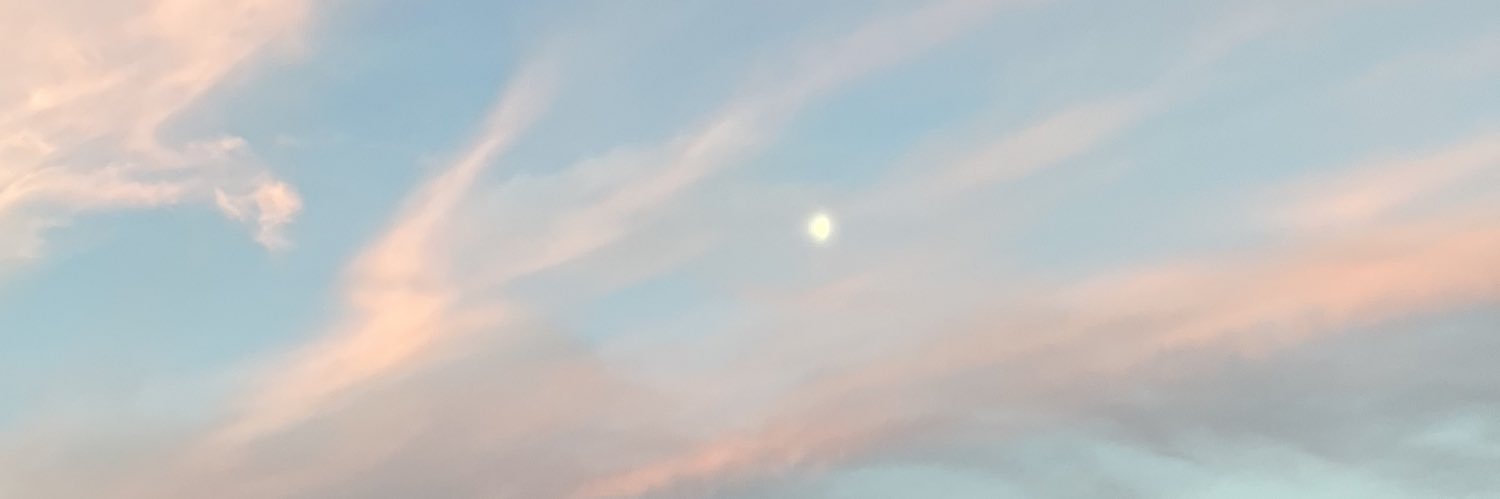 CardenasTami_'s profile banner image