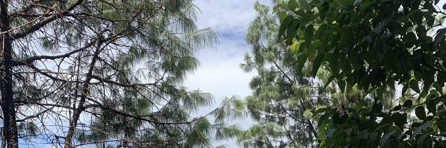 Julian422's profile banner image