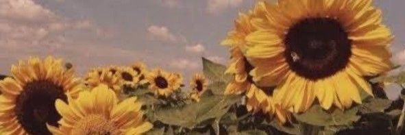 Beth Dutton-Wheeler banner