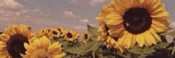 DuttonTornado Profile Banner