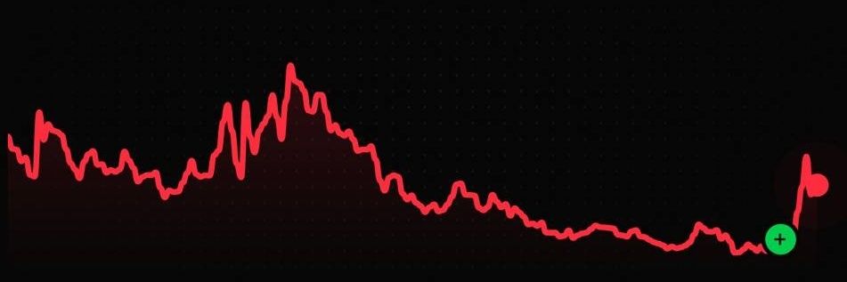 BottomWhisperer banner