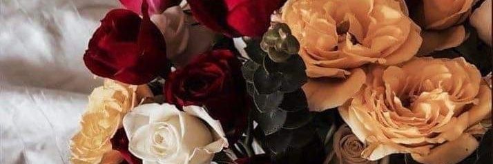 Daniel Sandoval banner