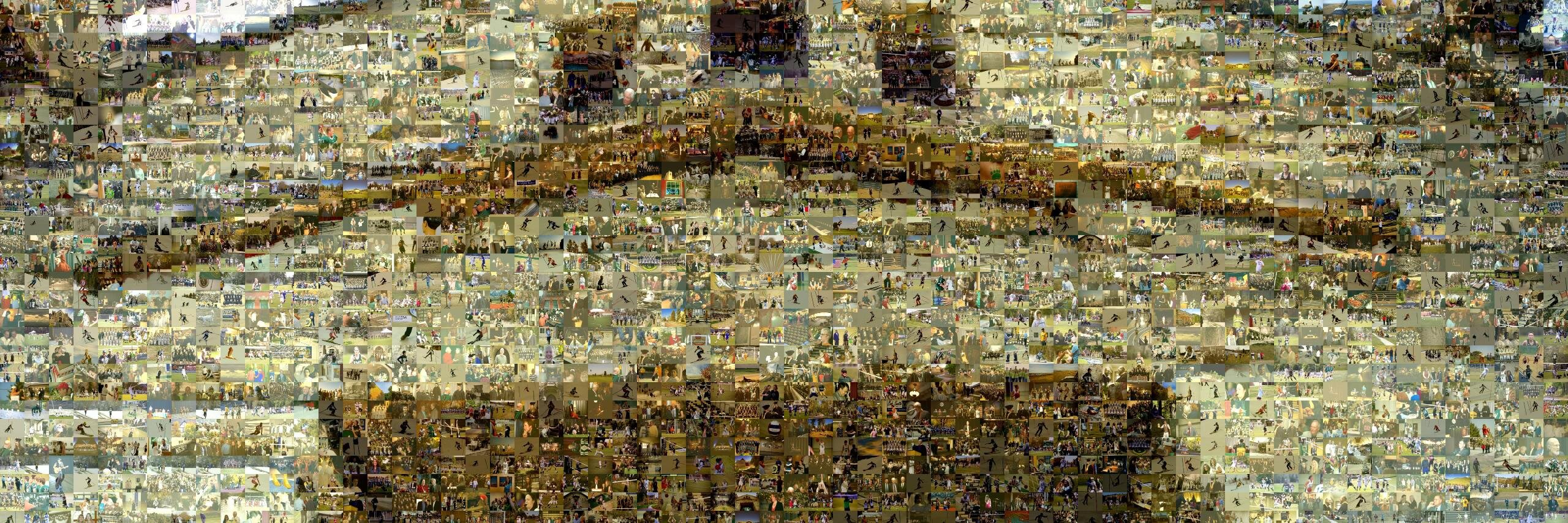 awildenberg banner