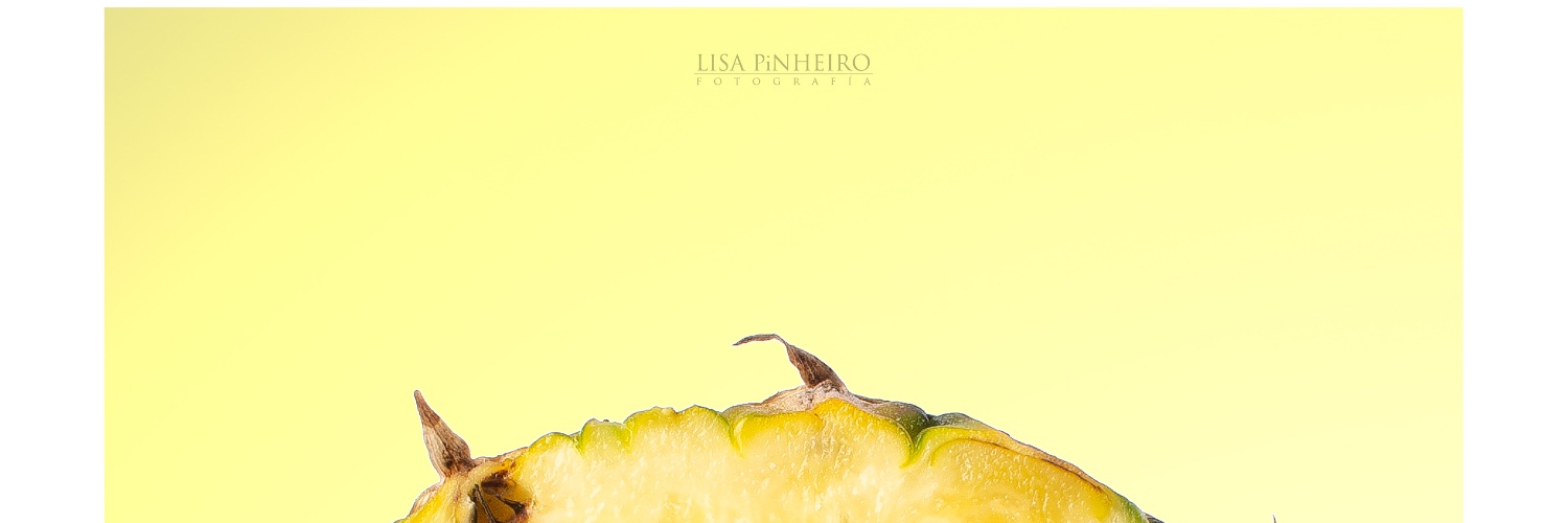lisapinheiro's profile banner image