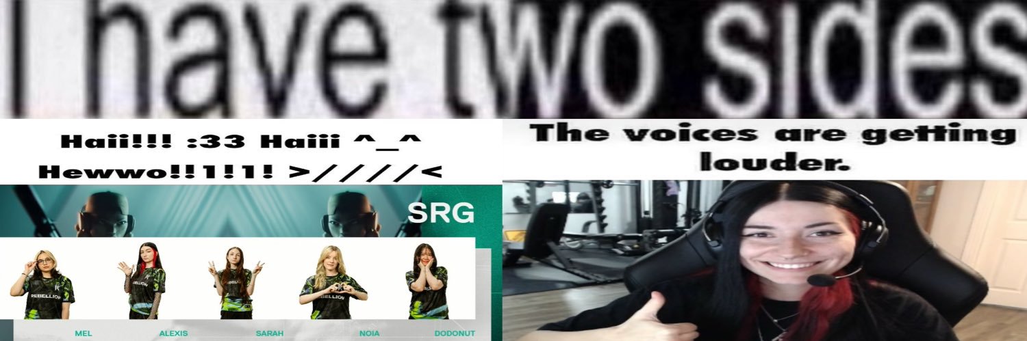 SR mimi's banner