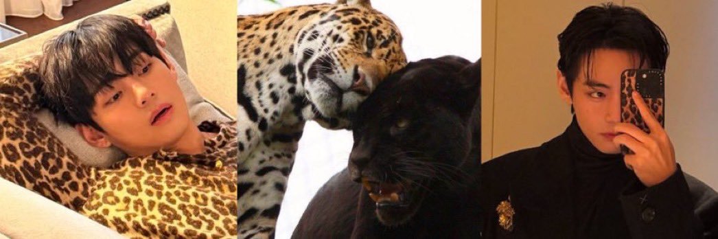 Meme 𝜗𝜚 ♥️🕊 banner