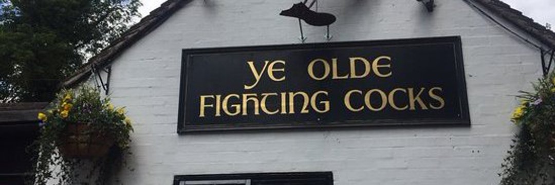 FightingAnne1's banner