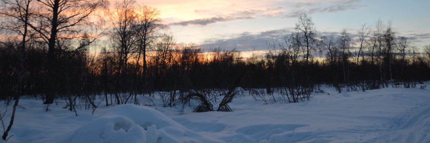 drolano's profile banner image