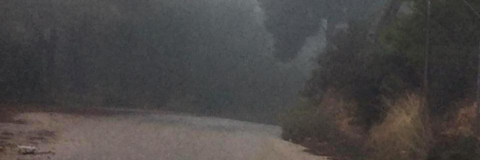 gotsaki's profile banner image