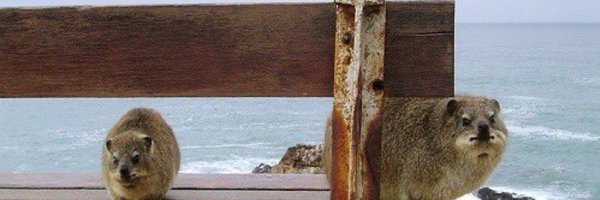 101Iight Profile Banner