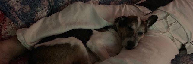 Ebony & Ivory banner