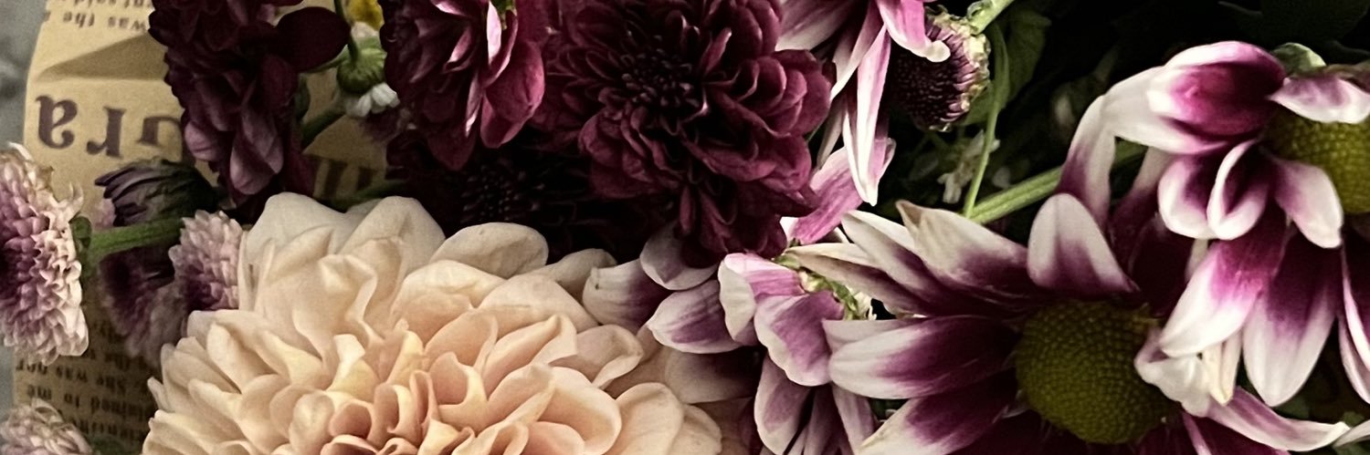 fara, 🩺 banner