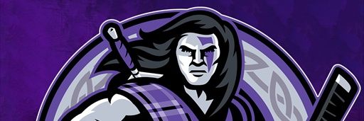 KovisFox's profile banner image