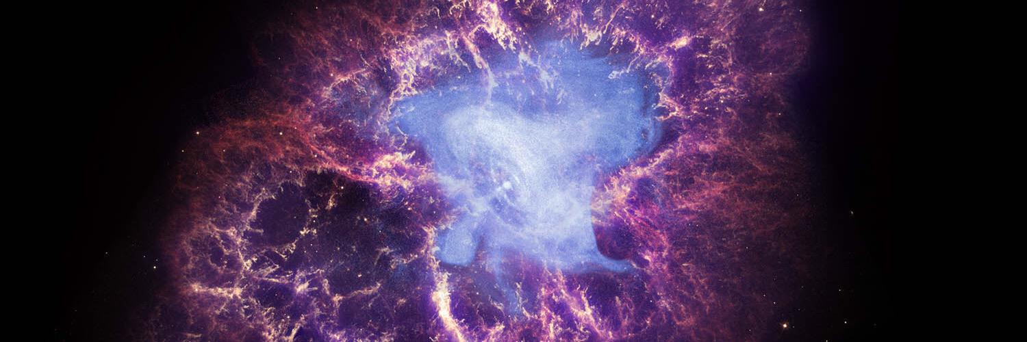 Rodney Delgado S. banner