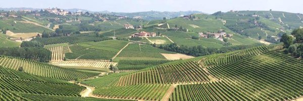 Danielwitte Profile Banner