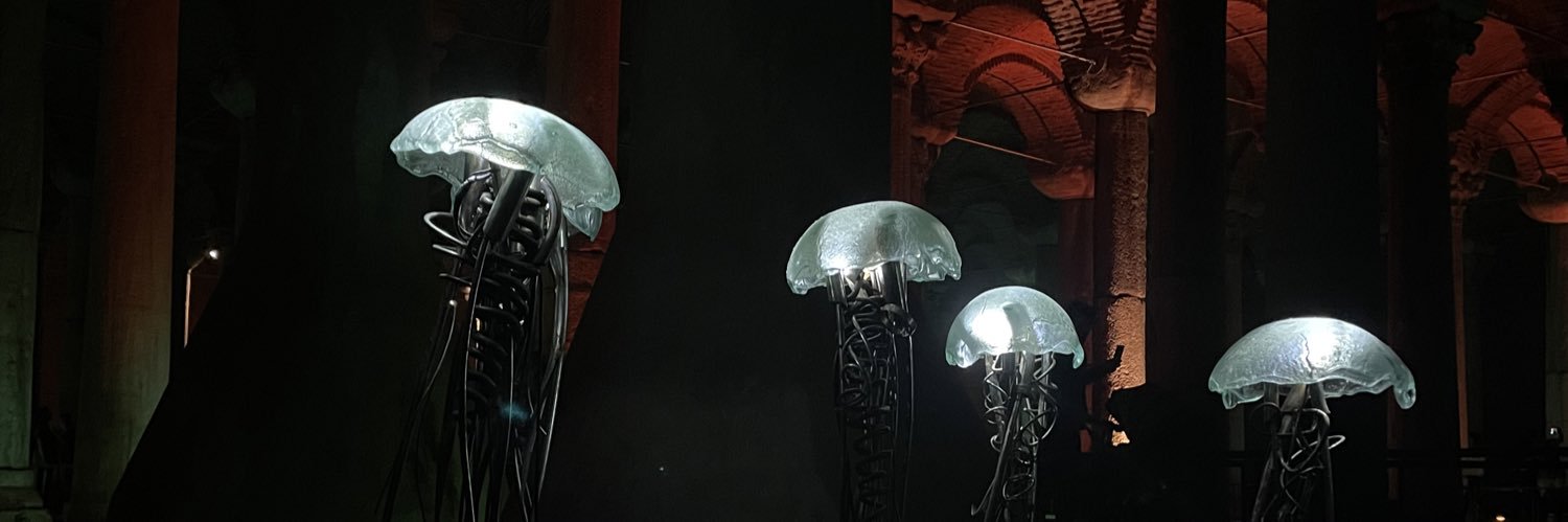 oguzhaankoroglu's profile banner image