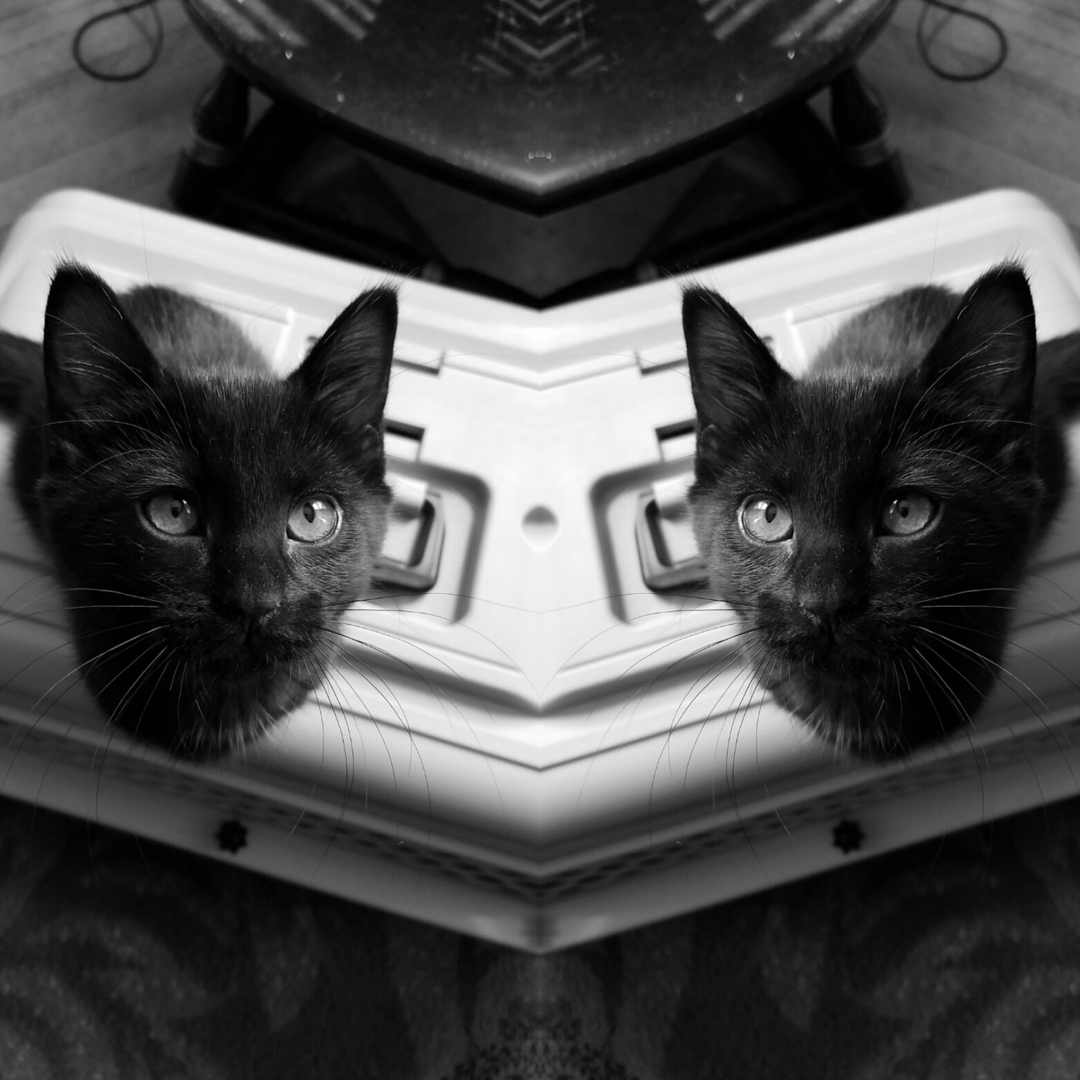 arikat93's profile banner image
