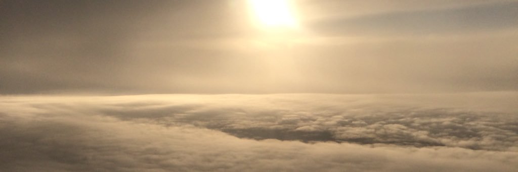 ceylnaras's profile banner image