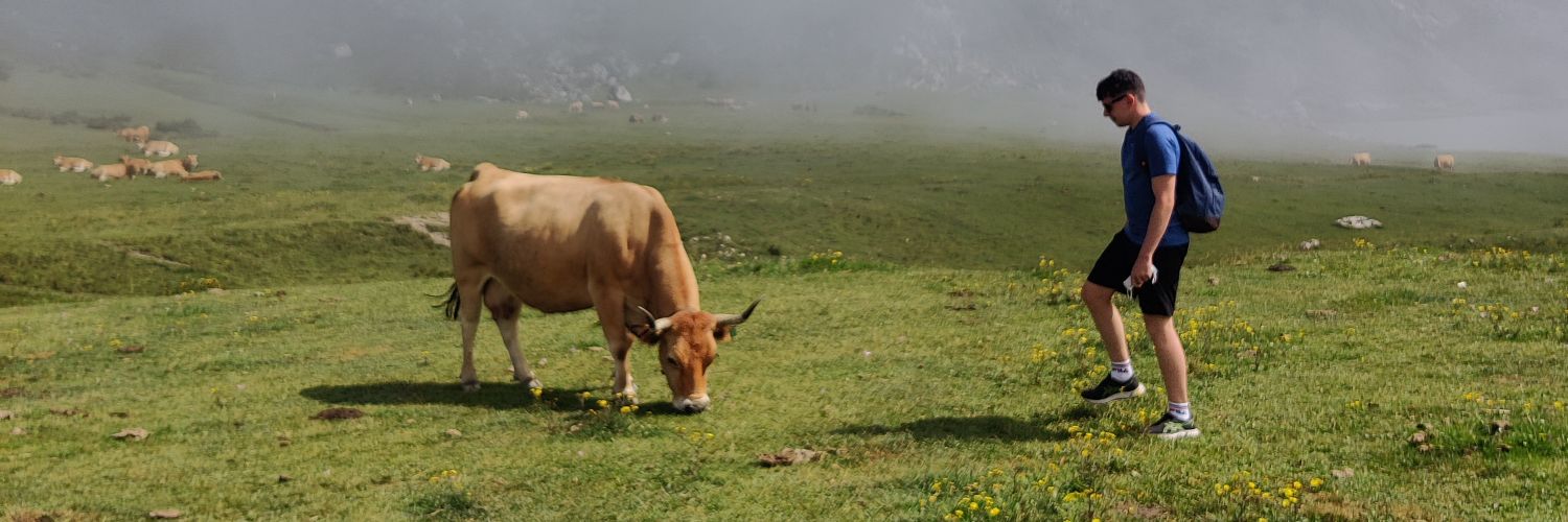 Jorge Moreno Garcés banner