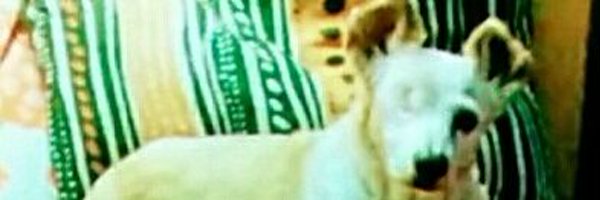 MhefisT Profile Banner