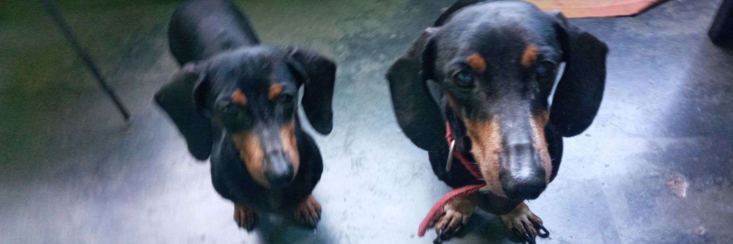 georgetato's profile banner image