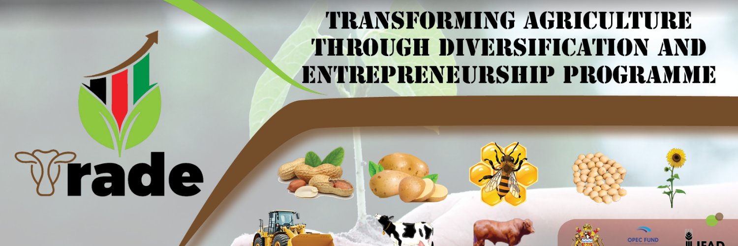 ProgrammeTrade's profile banner image