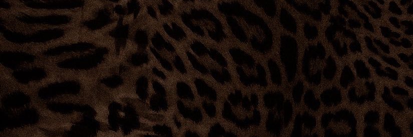 _sxa287's profile banner image