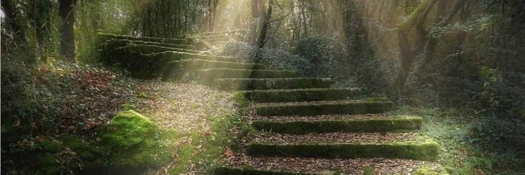 Silva, Marciano banner