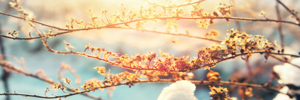 rikayla Profile Banner