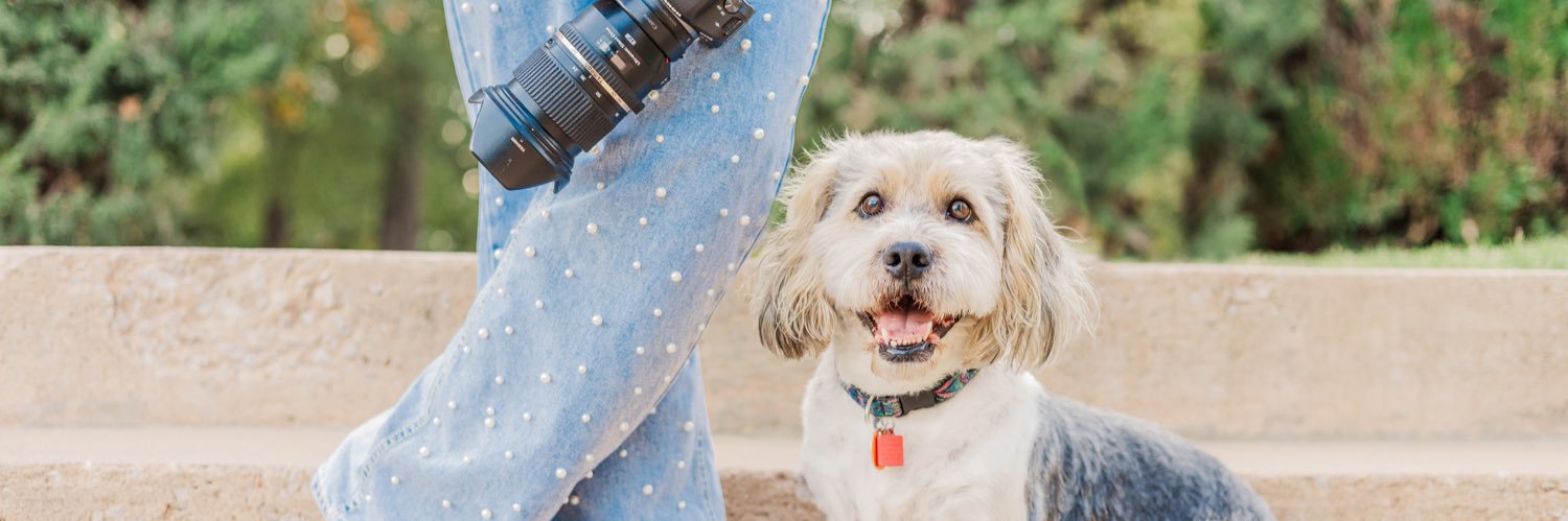 andrea sisson banner