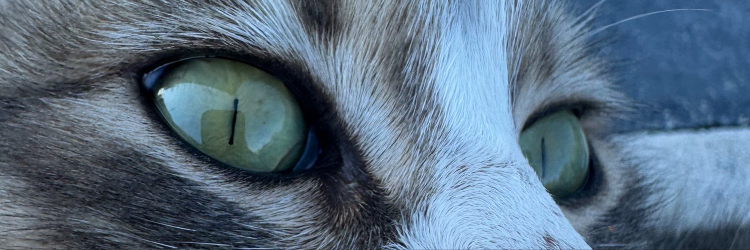 merdonaldo's profile banner image