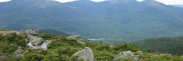 timoconnell Profile Banner