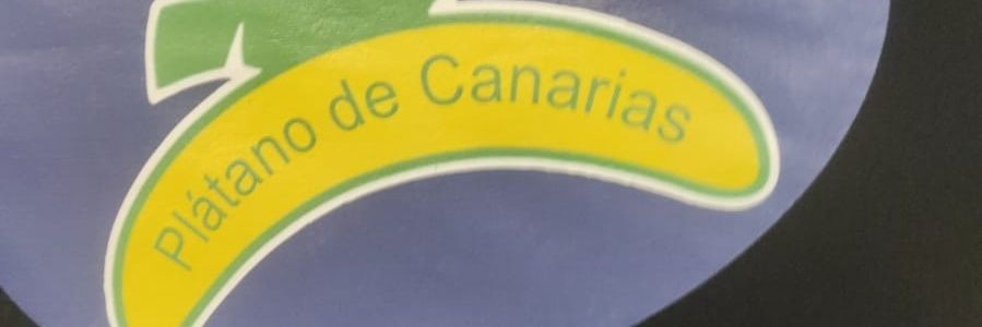 FULL CHOLA 🇮🇨 CANARIAS 🚀 banner