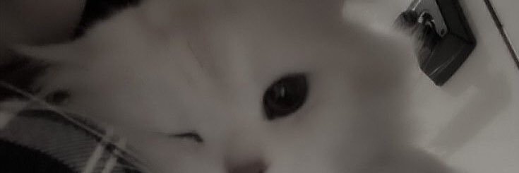 Rainy banner