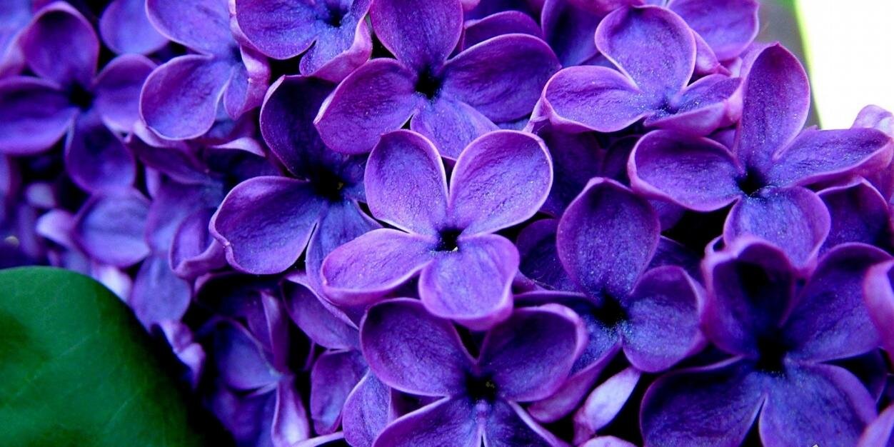 _veeronikaa's profile banner image