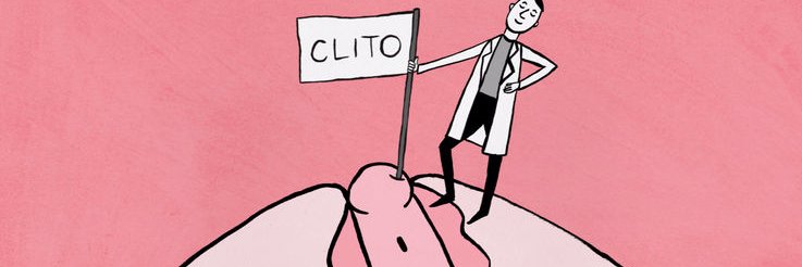 clito nic banner