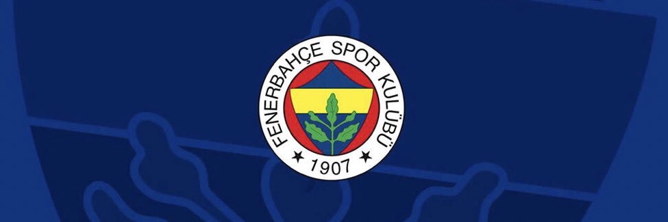 Tekeroviç FB banner