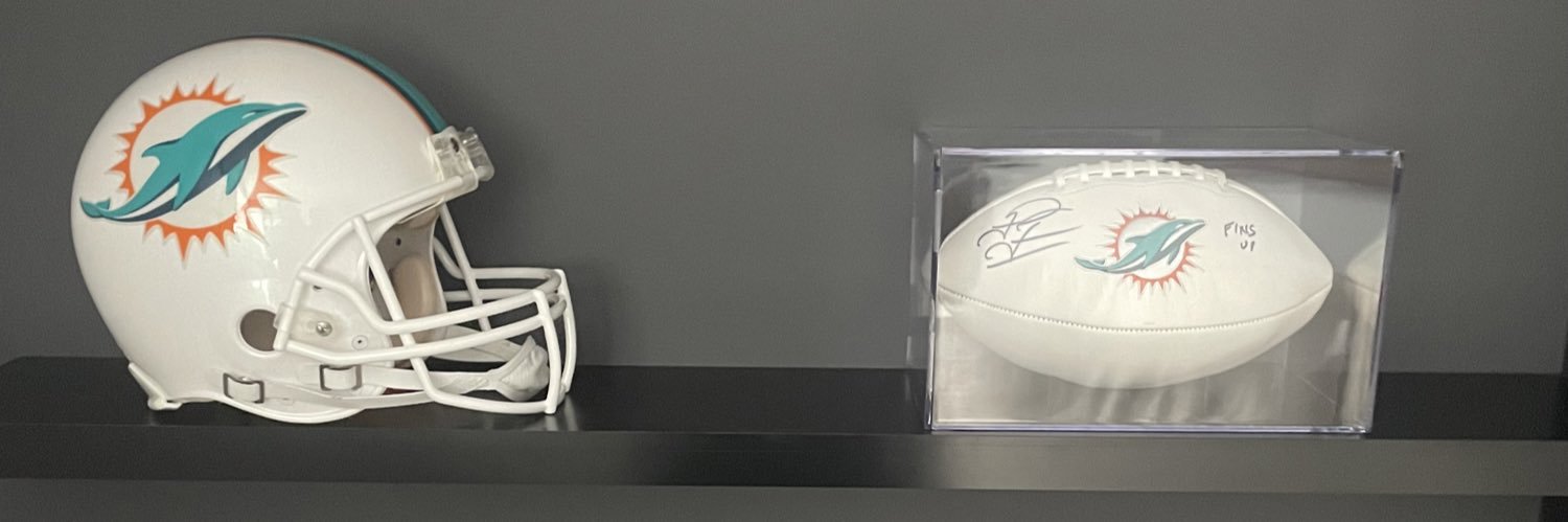 Danny Dolphin🐬 🏈 banner