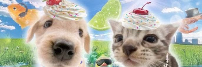miccrodancing's profile banner image