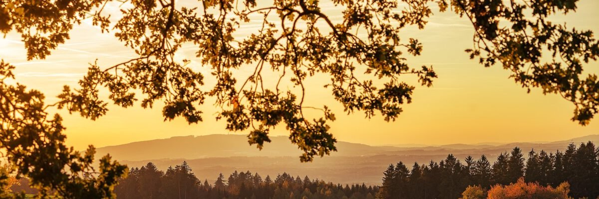 Donald L. Watson banner