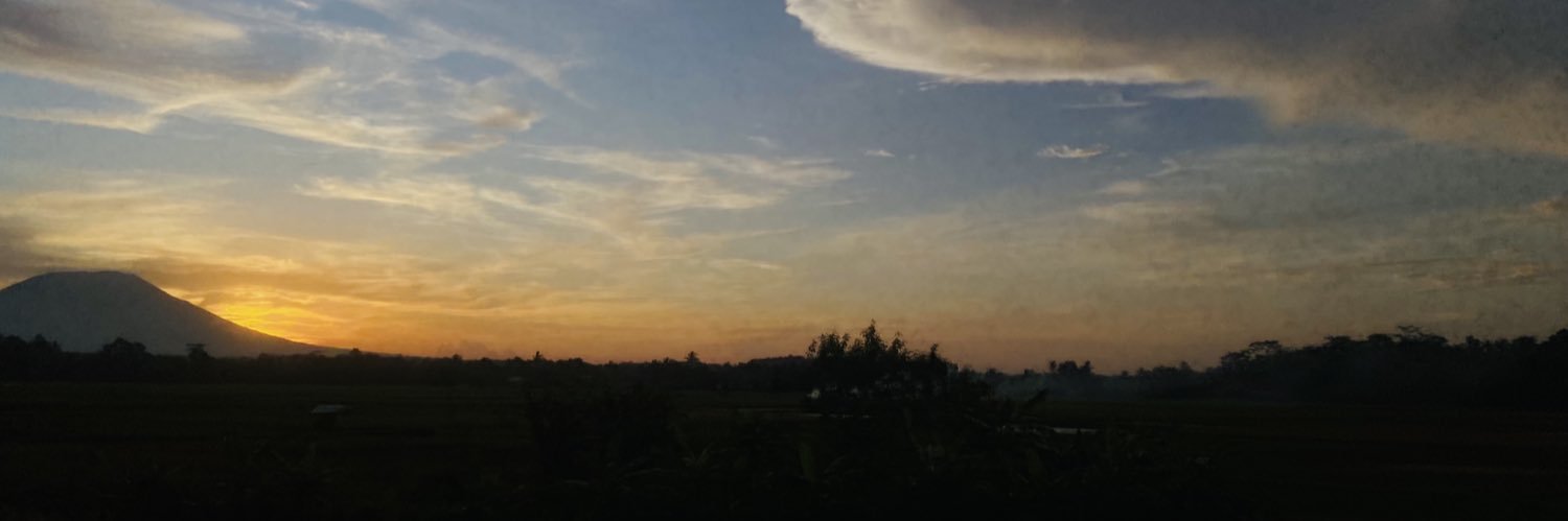 dixiemzz's profile banner image