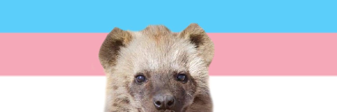 witch hex-wife banner