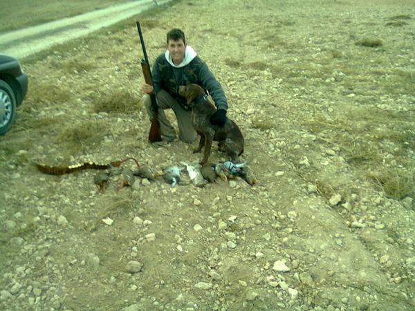 bonypelotas's profile banner image
