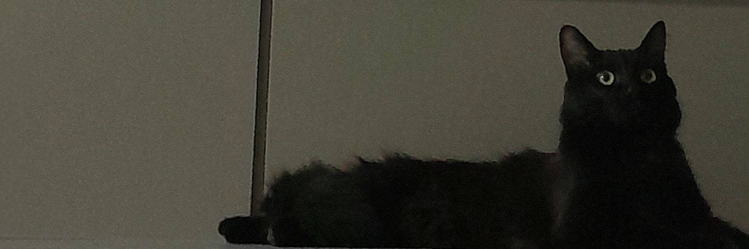 maisazx's profile banner image