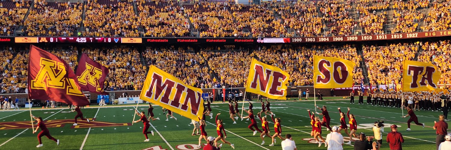 Gophers banner
