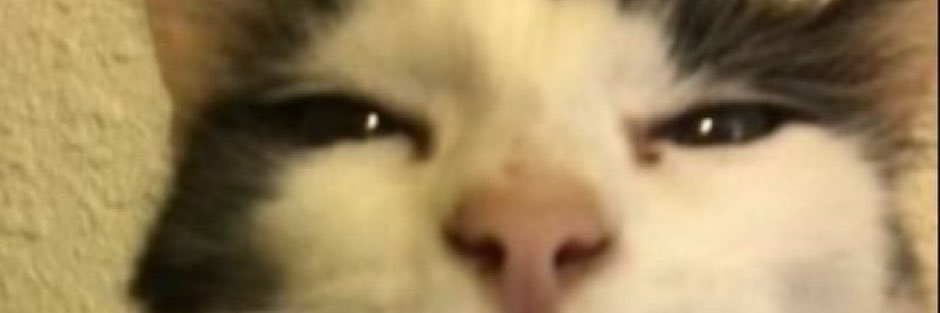 PervyNword's profile banner image