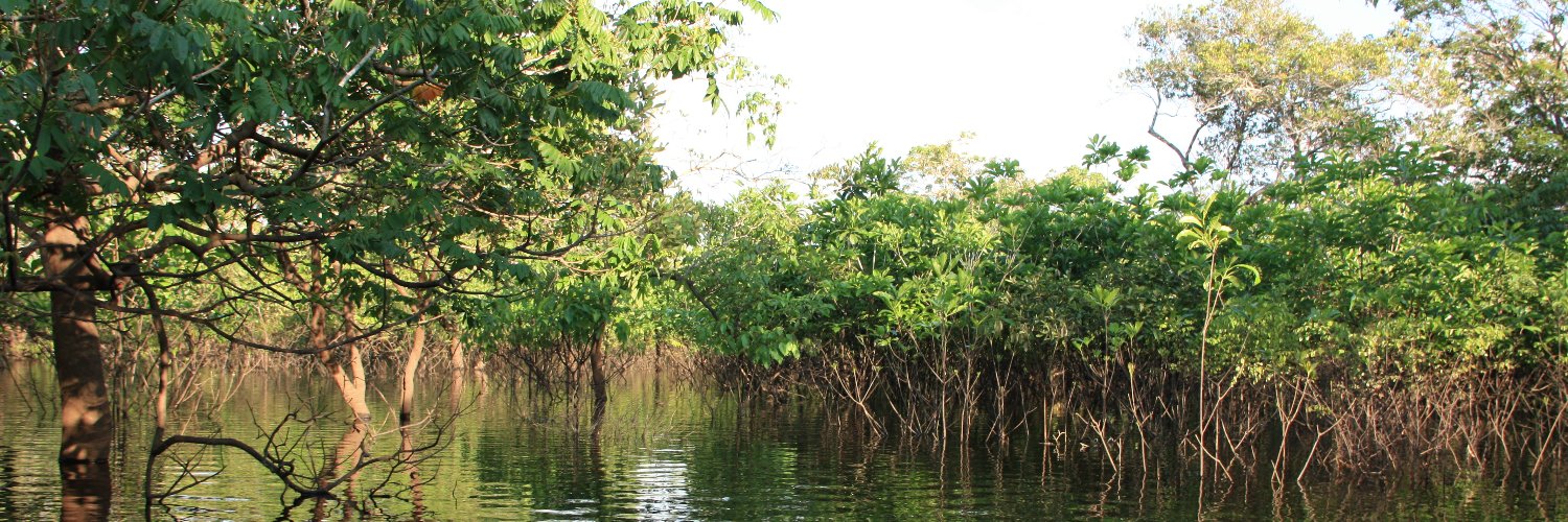 Martin Hasselmann banner