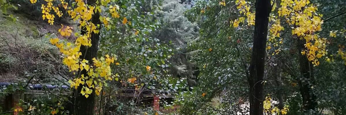 BjcJimenez's profile banner image